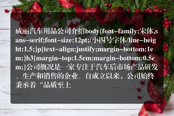 威丽汽车用品公司